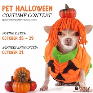 Pet Halloween Costume Contest Photo for Pet Halloween Costume Contest