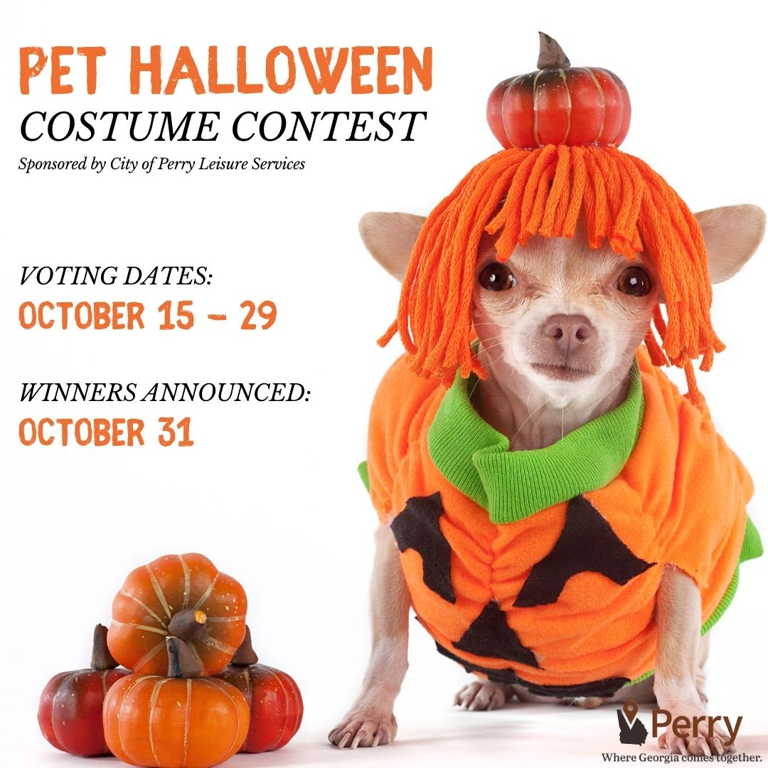 Photo for Pet Halloween Costume Contest